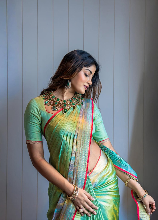 Tollywood Actress Dimple Hayathi Latest Pics5