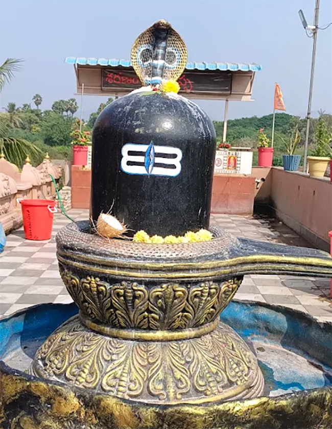 Uttarandhra Sabarimala Ayyappa Swamy Temple At Pendurthi12