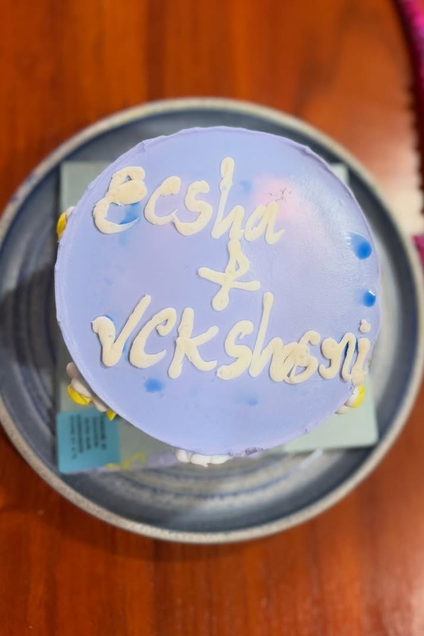 Actress Eesha Rebba Birthday Moments Photos4