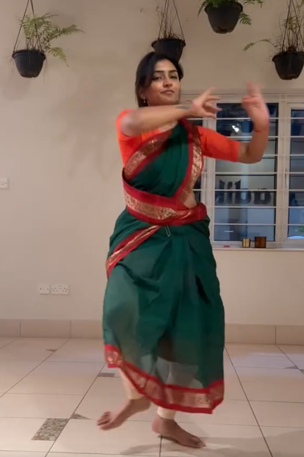 Actress Eesha Rebba Birthday Moments Photos7