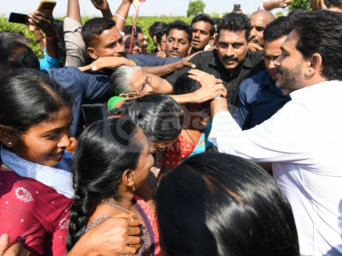 YS Jagan Pulivendula Tour 2nd Day Photos15