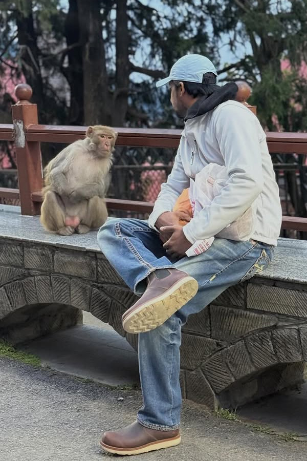 Actor Priyadarshi shares Beuatiful Himachal trip Moments with His wife PHotos8