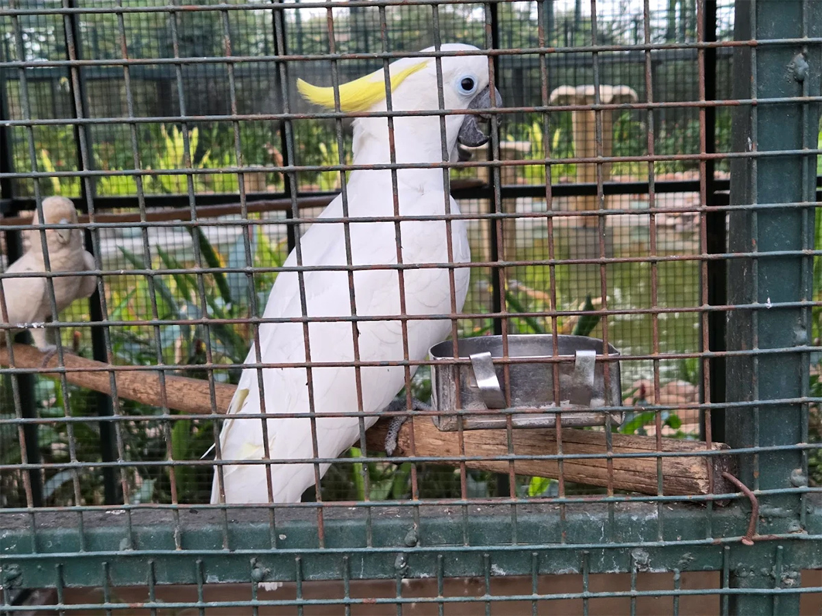 Kothwalguda Eco Park At Himayatsagar, Hyderabad: Photos12