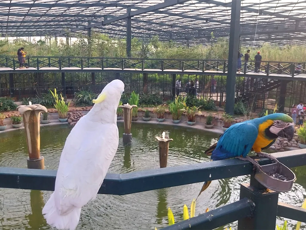 Kothwalguda Eco Park At Himayatsagar, Hyderabad: Photos14