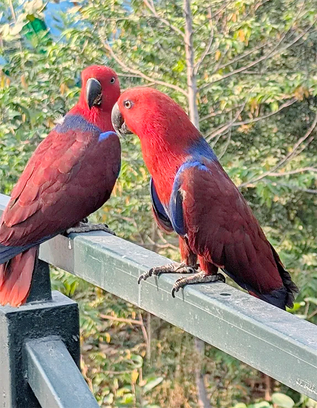 Kothwalguda Eco Park At Himayatsagar, Hyderabad: Photos23