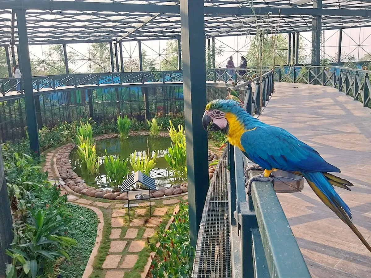 Kothwalguda Eco Park At Himayatsagar, Hyderabad: Photos4