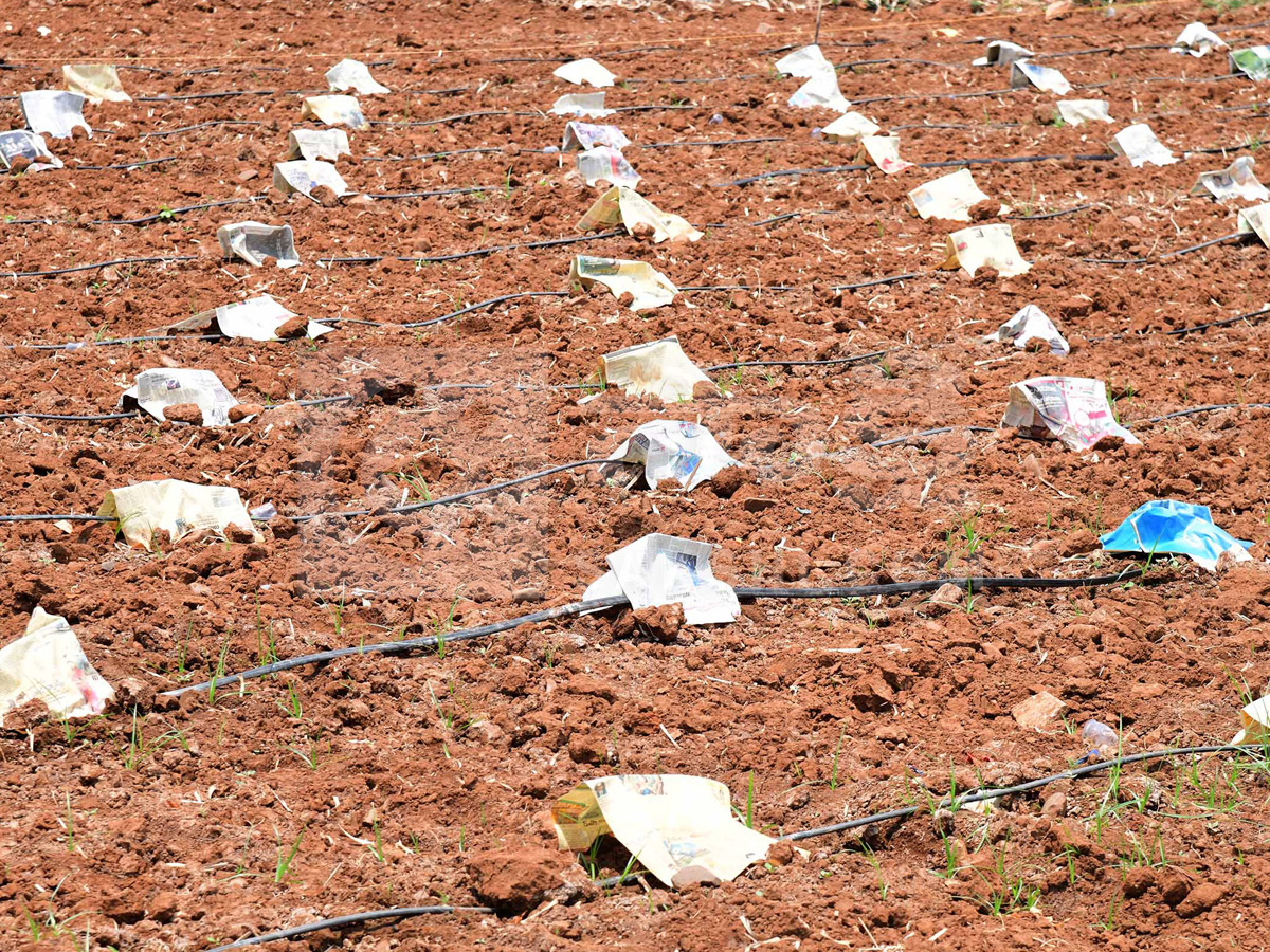 Best Photos of The Week in AP and Telangana Photo Gallery17