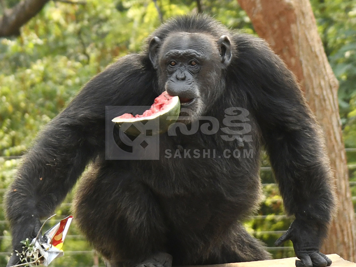 Best Photos of The Week in AP and Telangana Photo Gallery28