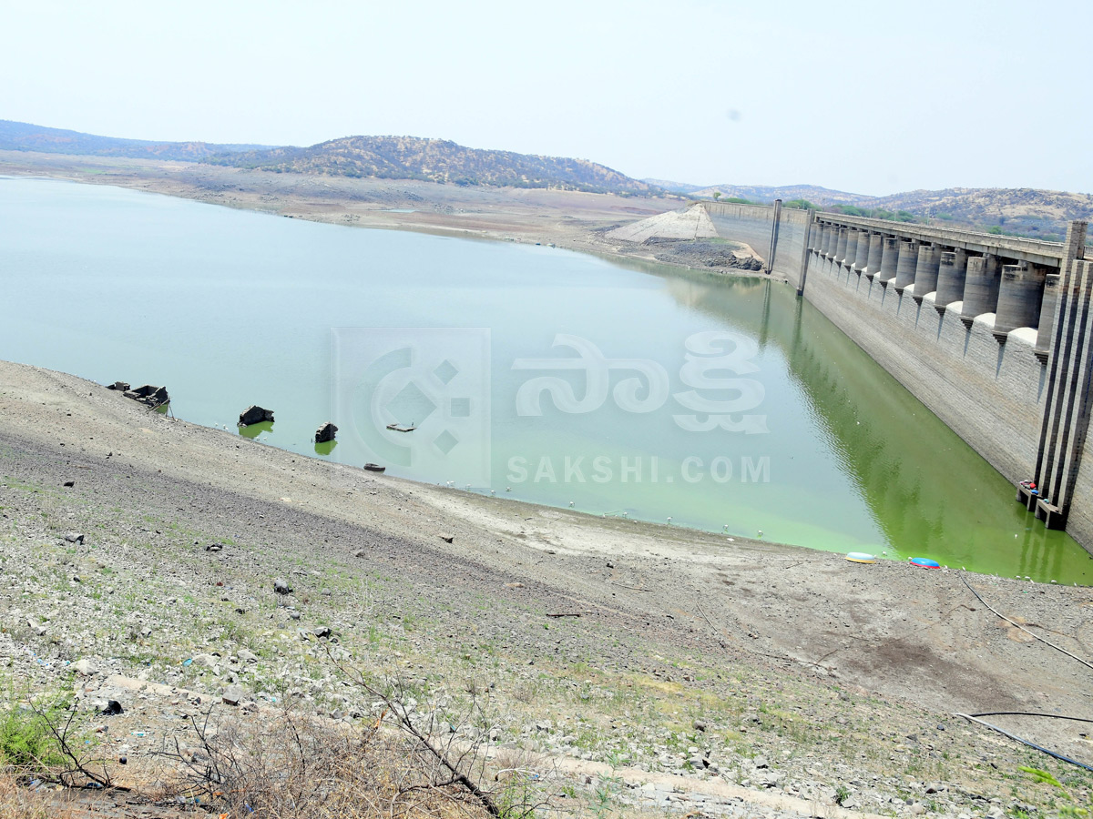 Best Photos of The Week in AP and Telangana Photo Gallery5