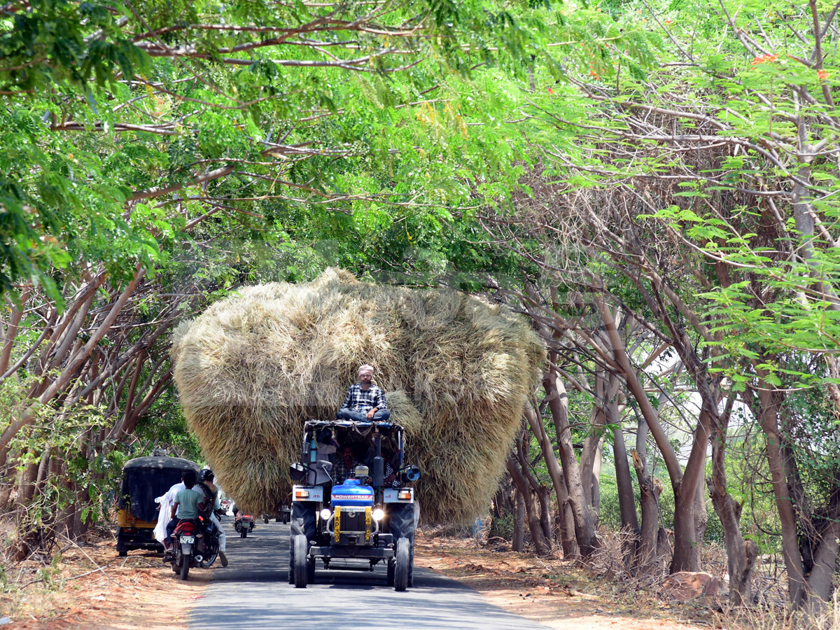 Best Photos of The Week in AP and Telangana Photo Gallery6