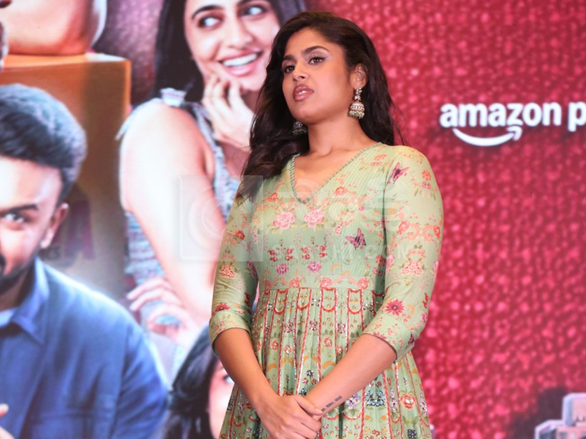 Gaayapadda Simham Pre-Release Event Photos12