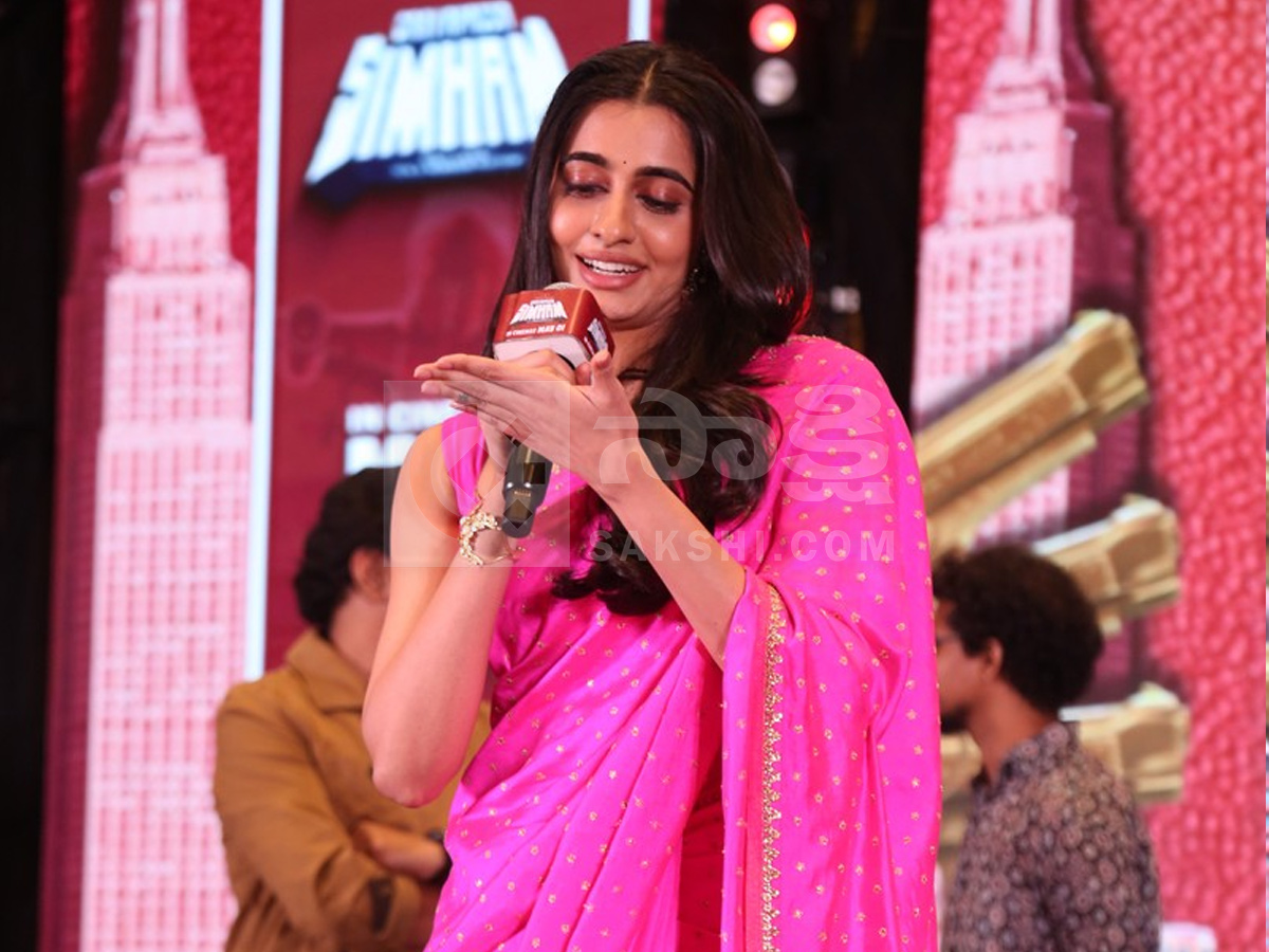 Gaayapadda Simham Pre-Release Event Photos15