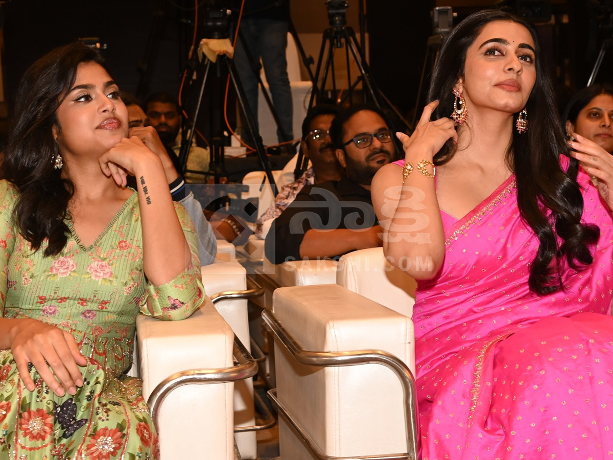 Gaayapadda Simham Pre-Release Event Photos16