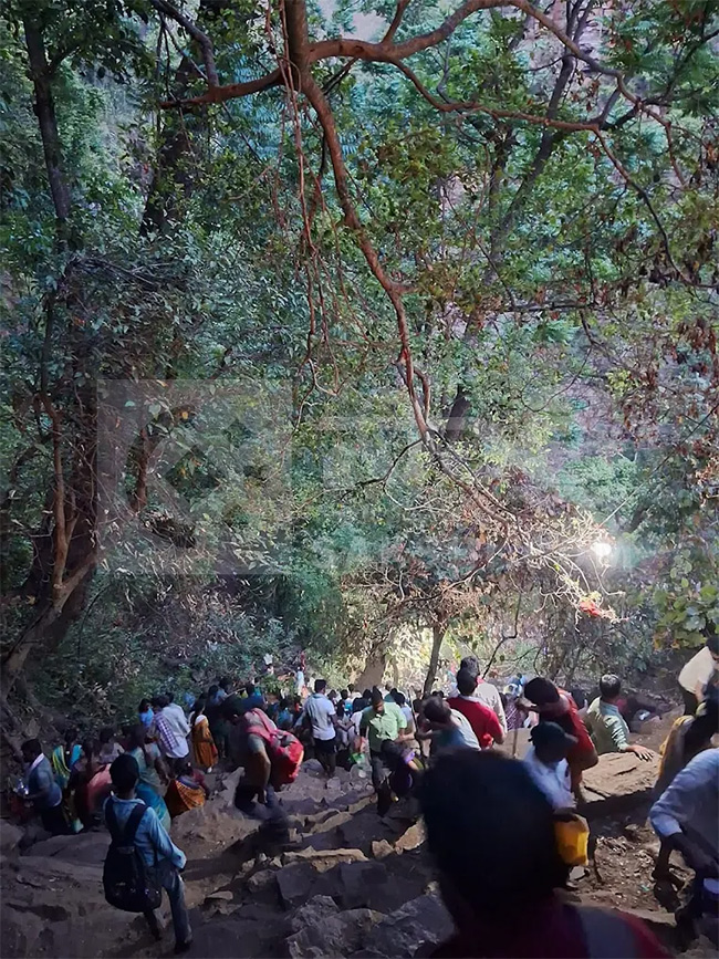 Saleshwaram Lingamayya Swamy Temple 2026 Photos21