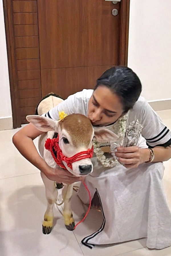 Senior Actress Surekha Vani Birthday Celebrations Photos6