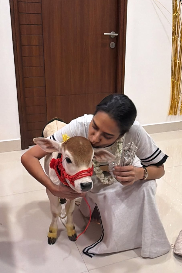 Senior Actress Surekha Vani Birthday Celebrations Photos7