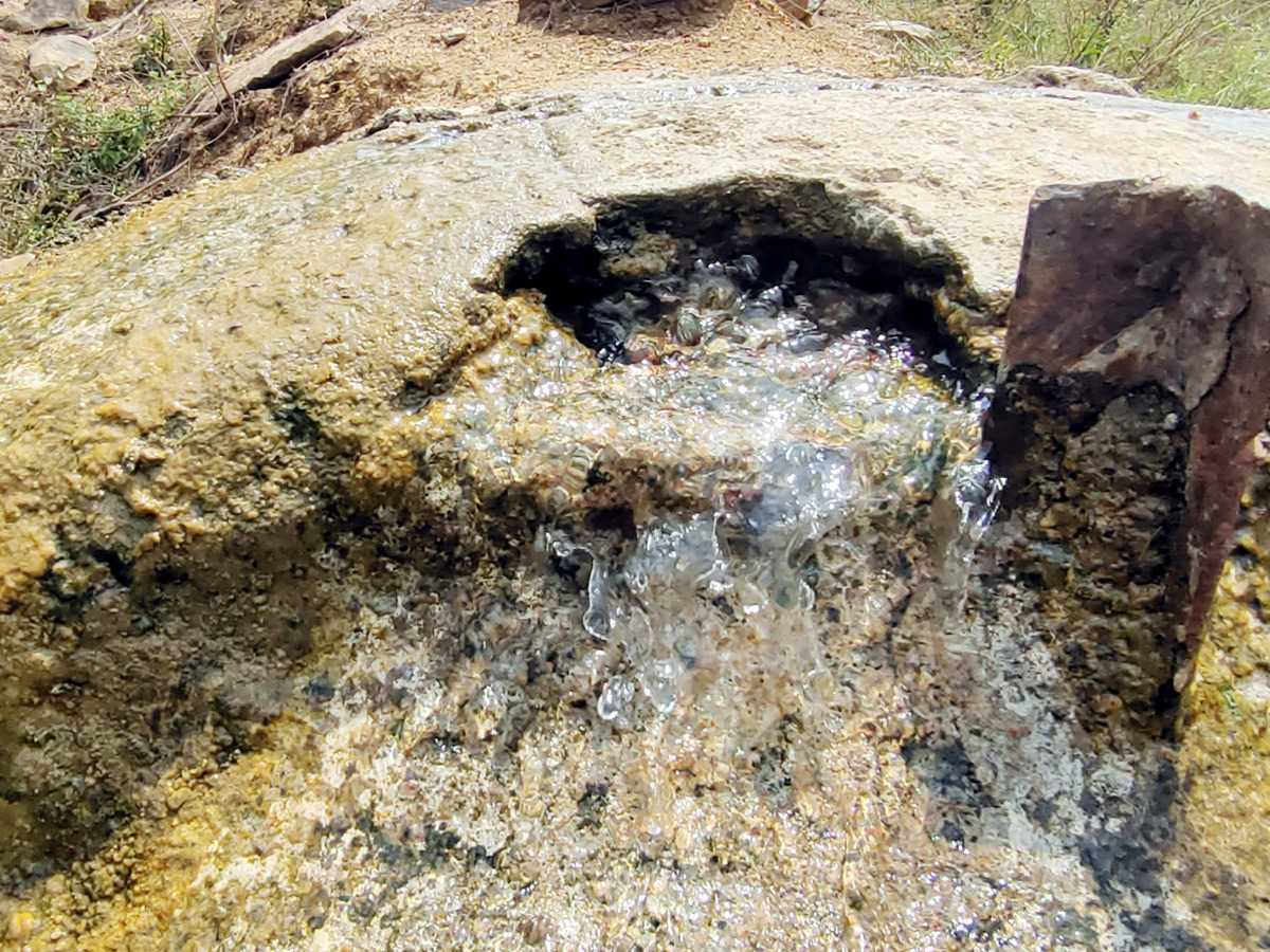 Best Photos of The Week in AP and Telangana Photo Gallery20