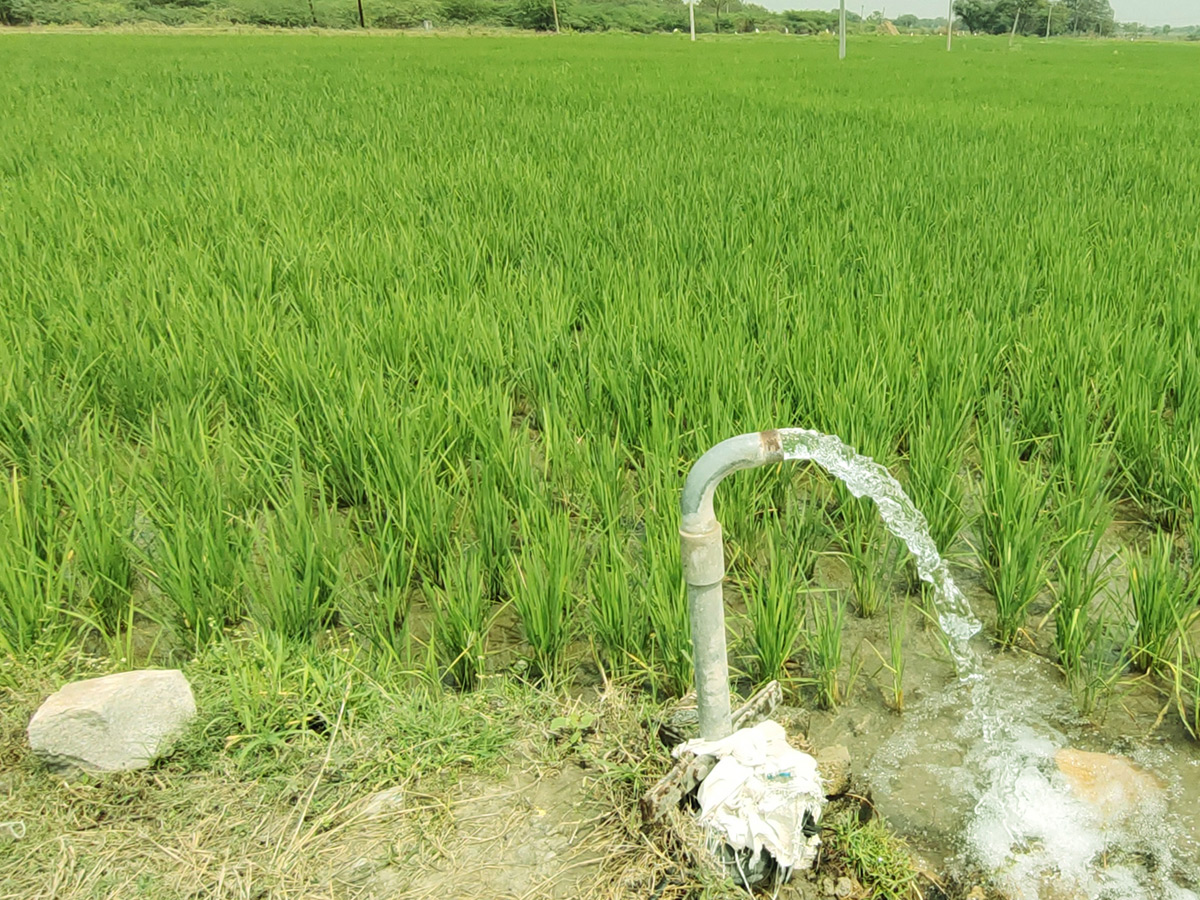 Best Photos of The Week in AP and Telangana Photo Gallery21