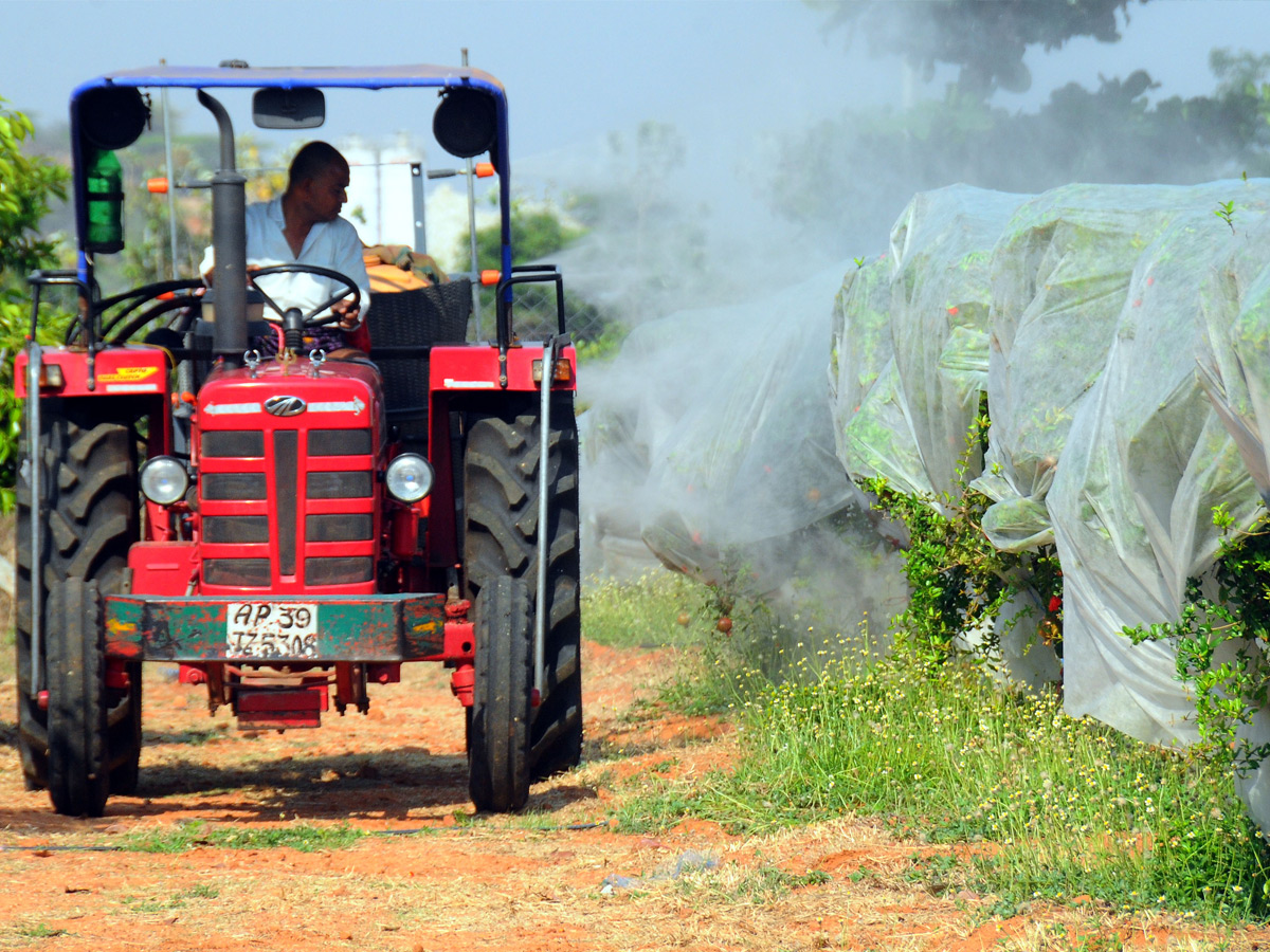 Best Photos of The Week in AP and Telangana Photo Gallery6
