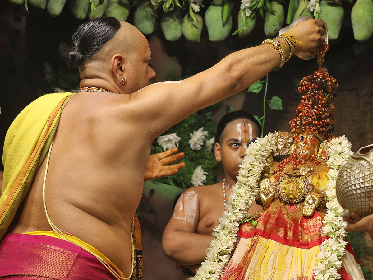 Tiruchanur : Sri Padmavathi Ammavari Vasantotsavalu11