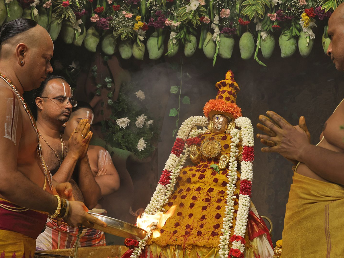 Tiruchanur : Sri Padmavathi Ammavari Vasantotsavalu13