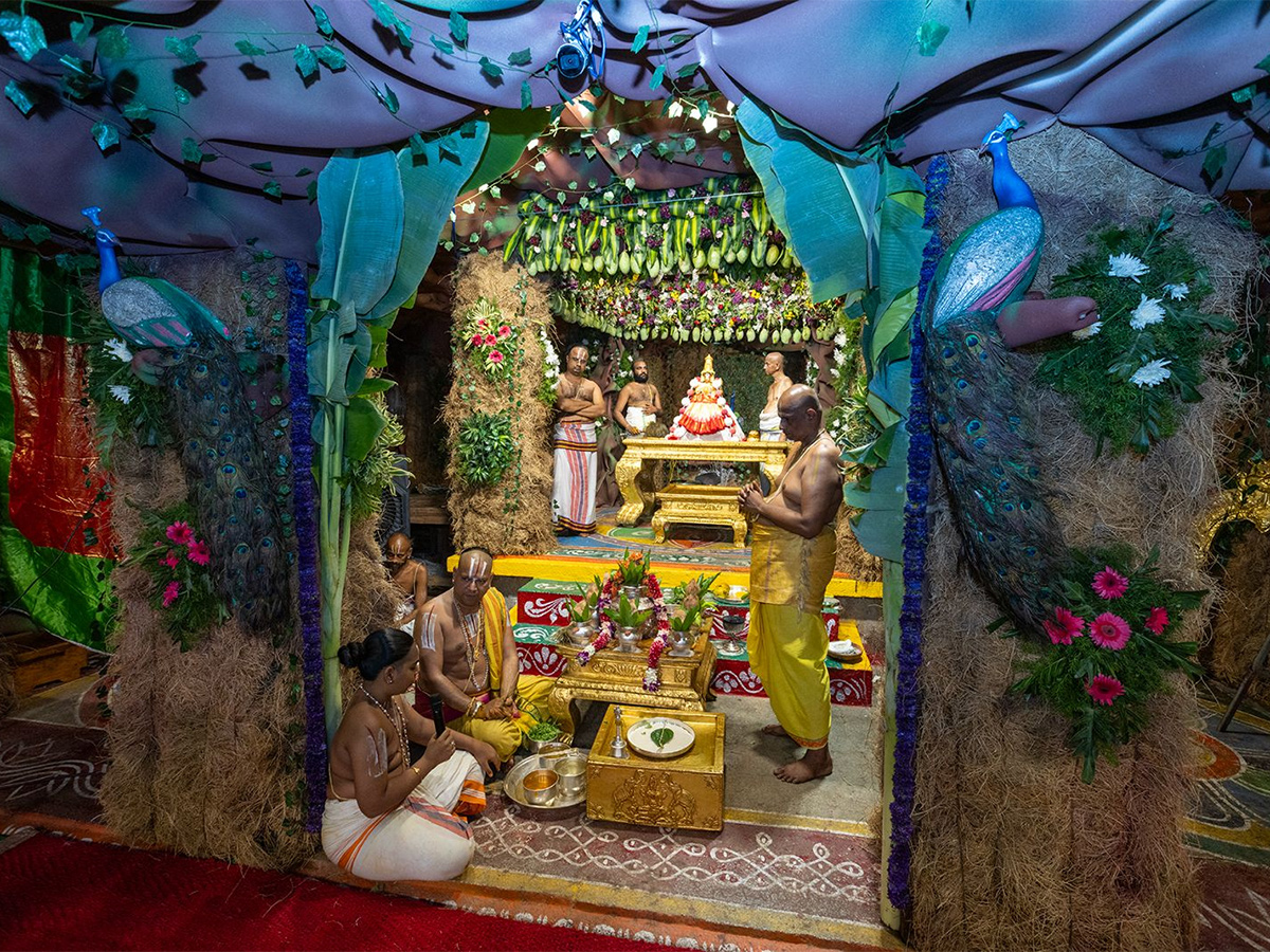 Tiruchanur : Sri Padmavathi Ammavari Vasantotsavalu14