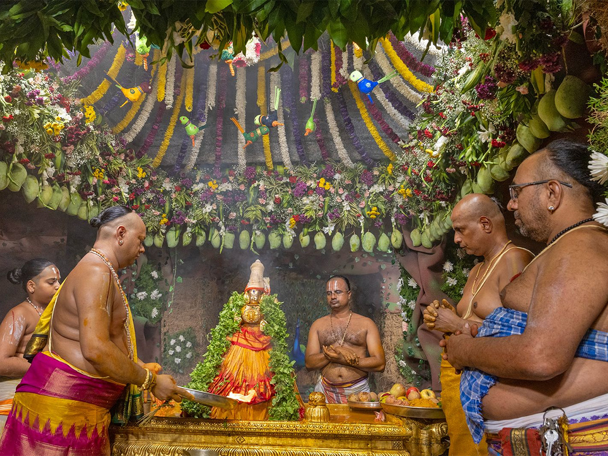 Tiruchanur : Sri Padmavathi Ammavari Vasantotsavalu16