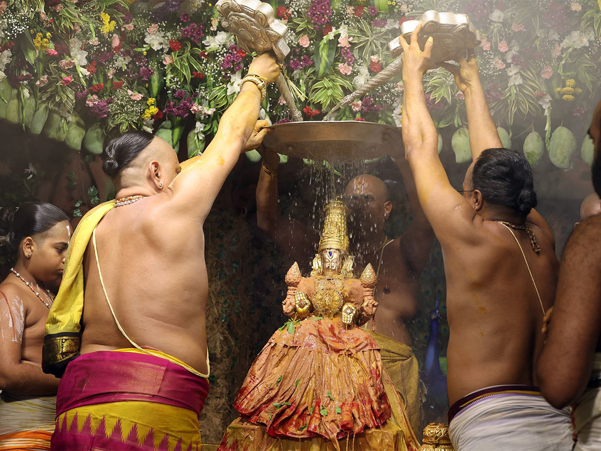 Tiruchanur : Sri Padmavathi Ammavari Vasantotsavalu17