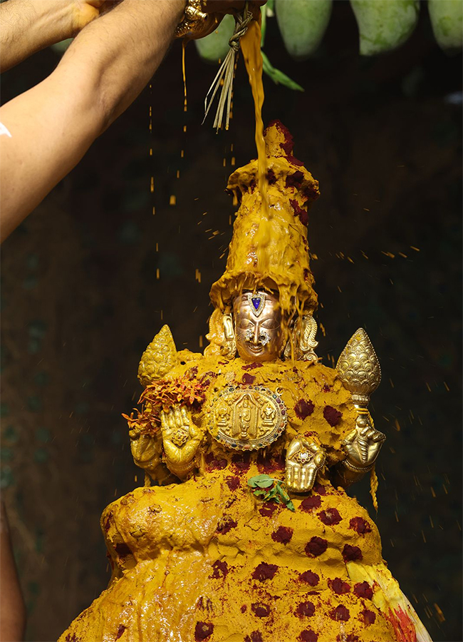 Tiruchanur : Sri Padmavathi Ammavari Vasantotsavalu2