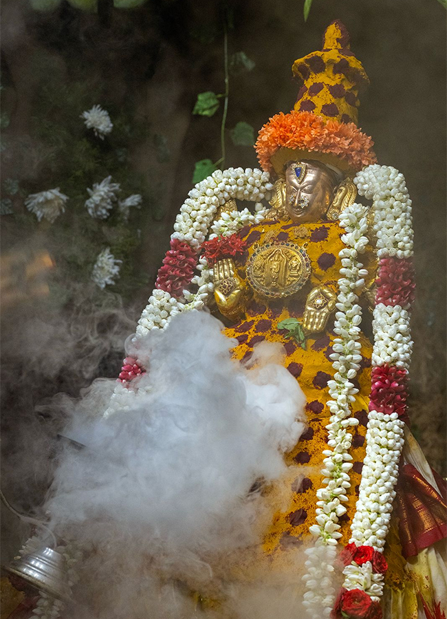 Tiruchanur : Sri Padmavathi Ammavari Vasantotsavalu3