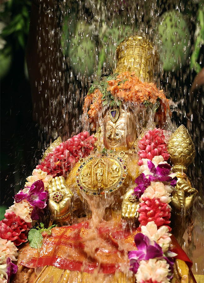 Tiruchanur : Sri Padmavathi Ammavari Vasantotsavalu4
