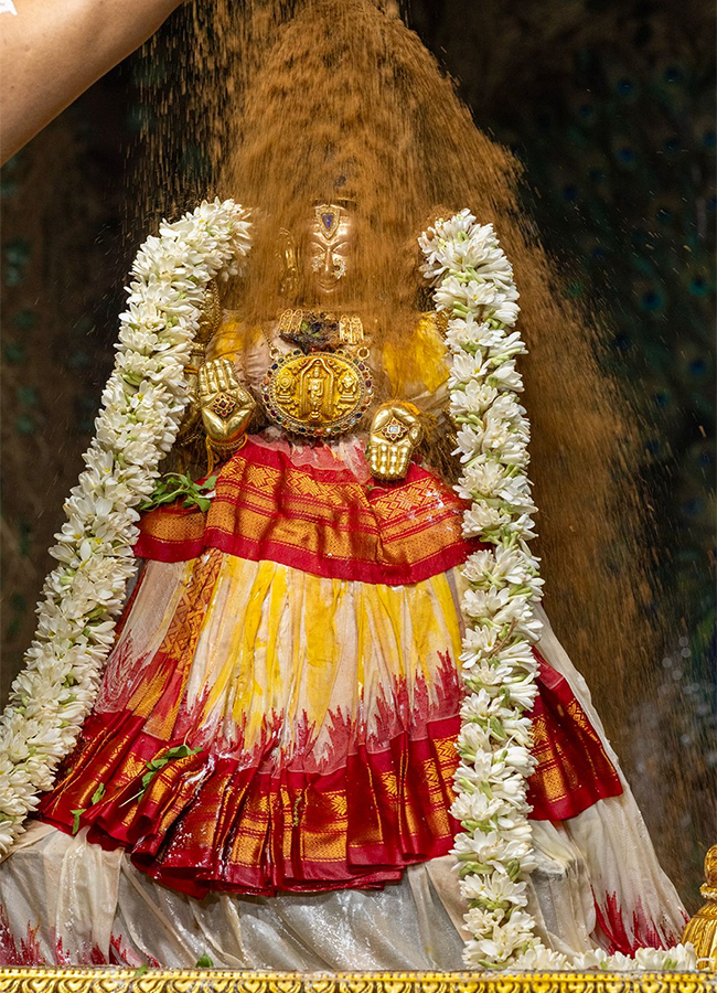 Tiruchanur : Sri Padmavathi Ammavari Vasantotsavalu5