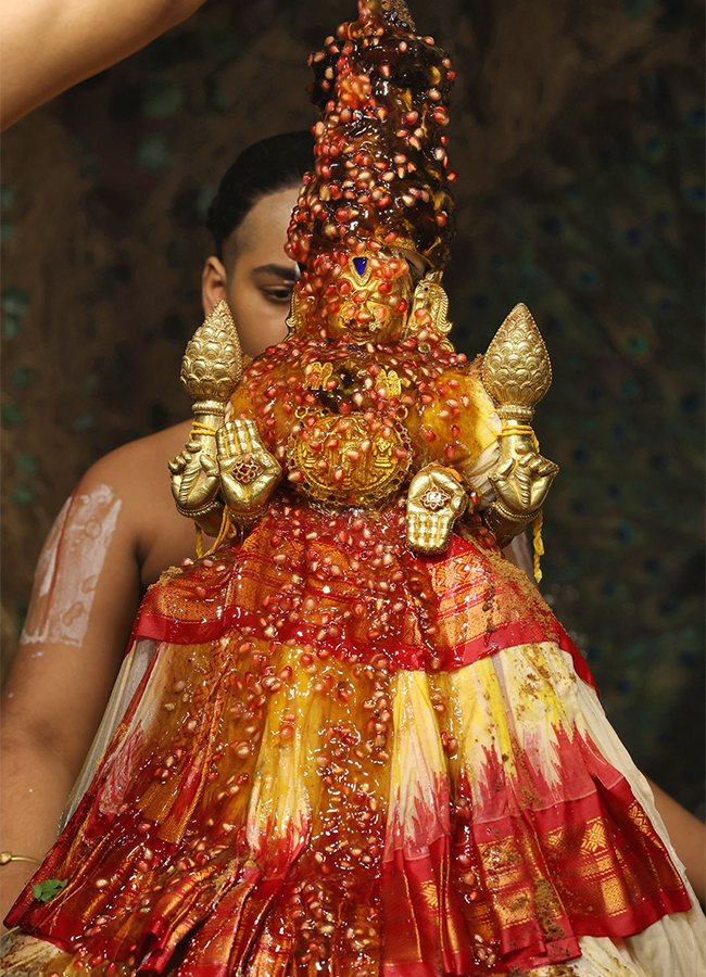 Tiruchanur : Sri Padmavathi Ammavari Vasantotsavalu6