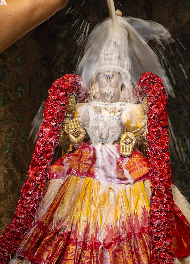 Tiruchanur : Sri Padmavathi Ammavari Vasantotsavalu7