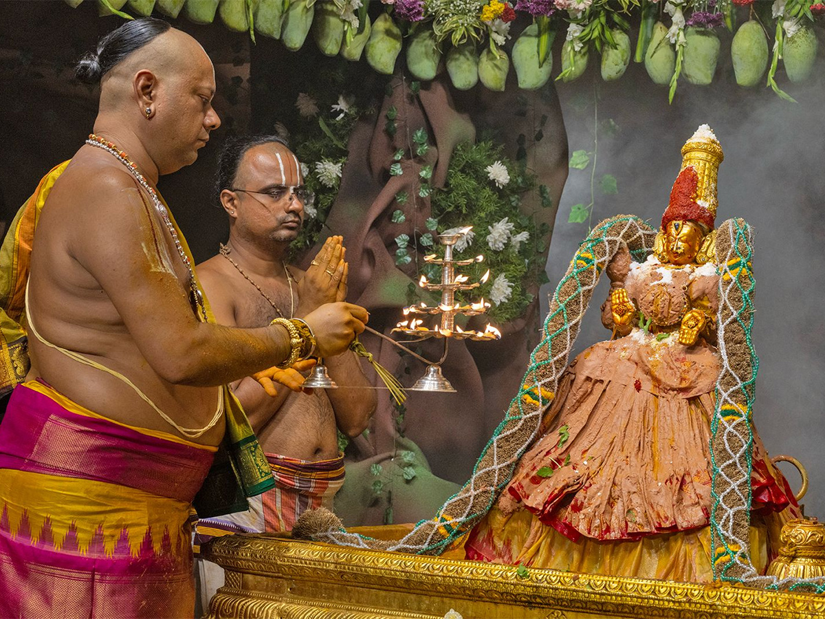 Tiruchanur : Sri Padmavathi Ammavari Vasantotsavalu9