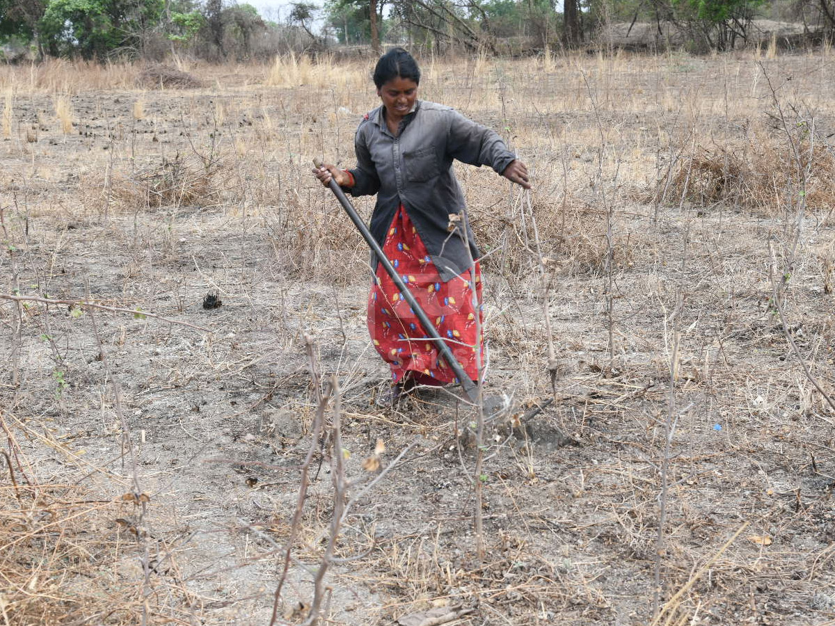 Best Photos of The Week in AP and Telangana Photo Gallery2