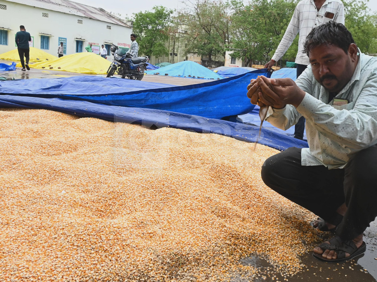 Best Photos of The Week in AP and Telangana Photo Gallery3