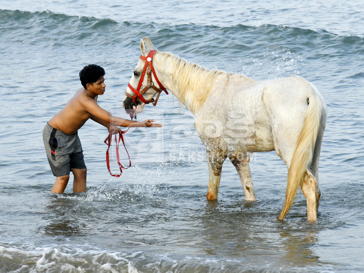Best Photos of The Week in AP and Telangana Photo Gallery35