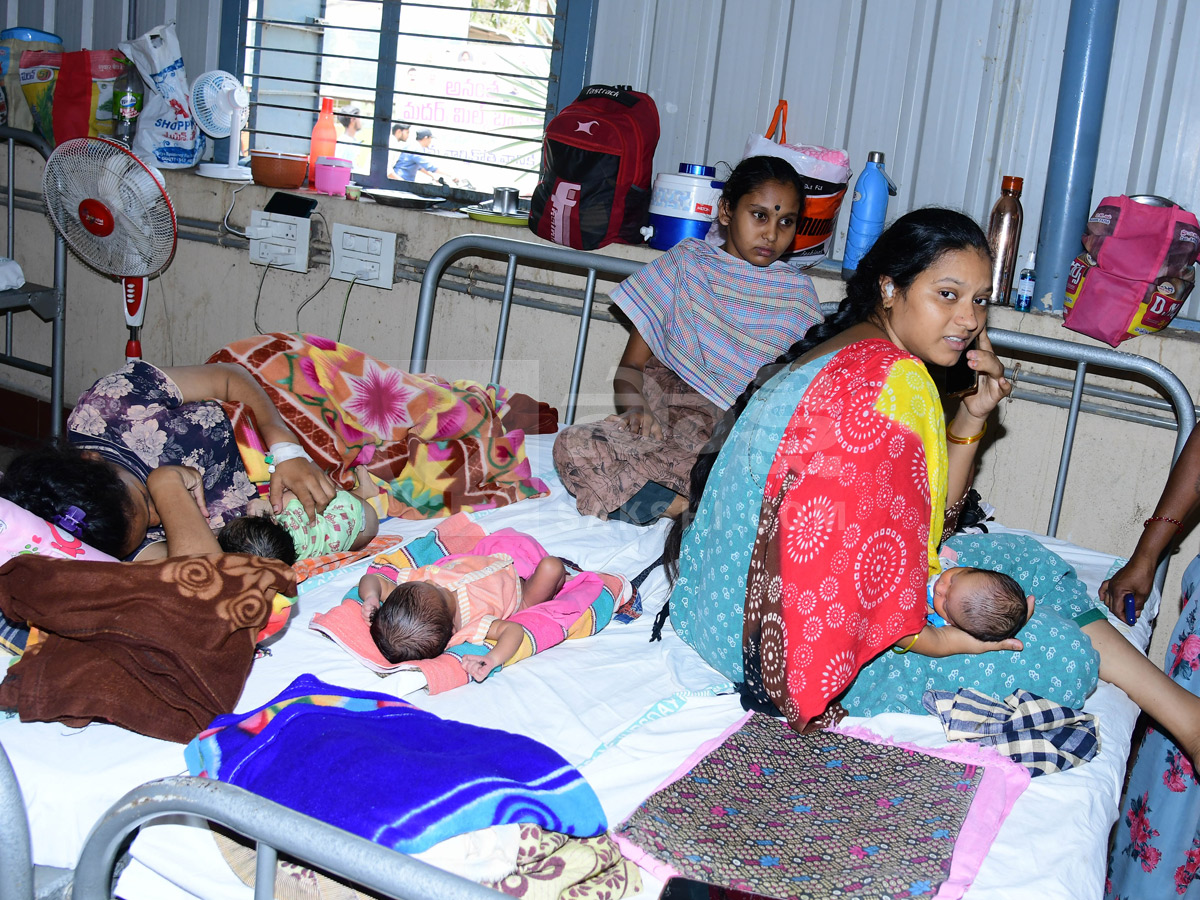 Best Photos of The Week in AP and Telangana Photo Gallery6