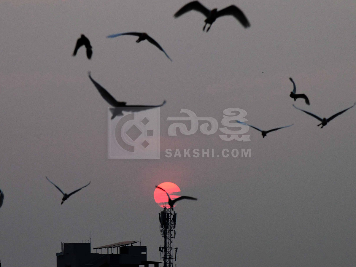 Best Photos of The Week in AP and Telangana Photo Gallery10