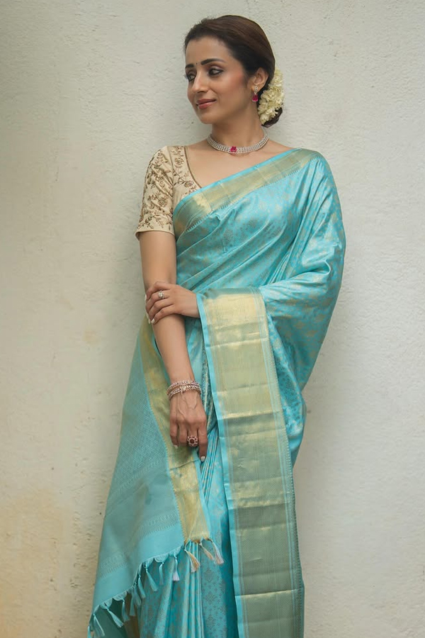 Actress Trisha Krishnan Attend TVK VIjay Oath Ceremony Photos4