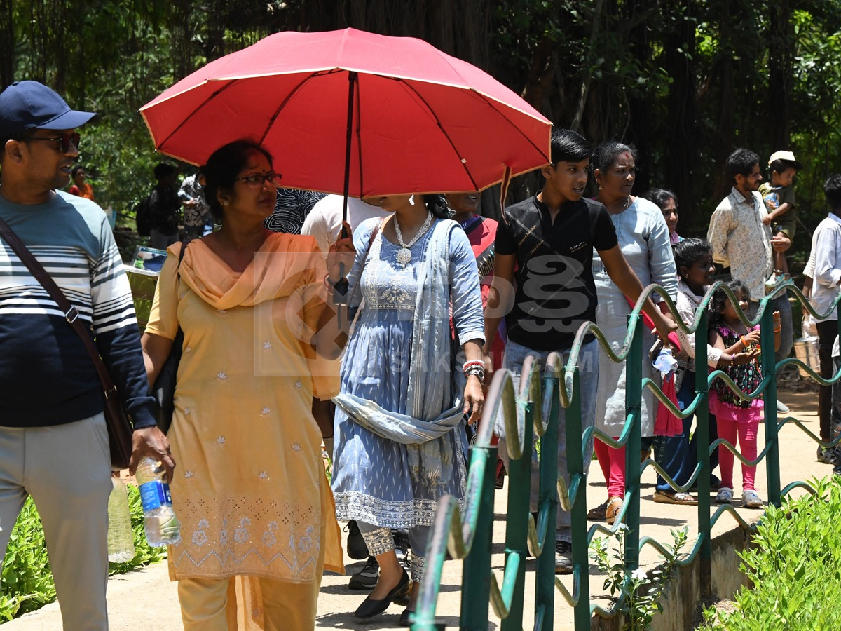 Touritsts Enjoying Summer Vacations At Zoo Photos13