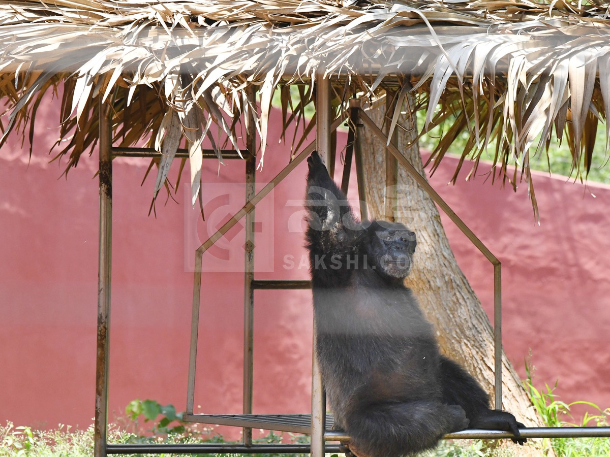 Touritsts Enjoying Summer Vacations At Zoo Photos14