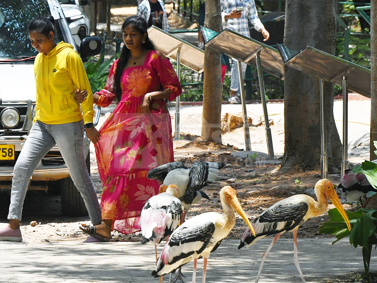 Touritsts Enjoying Summer Vacations At Zoo Photos3