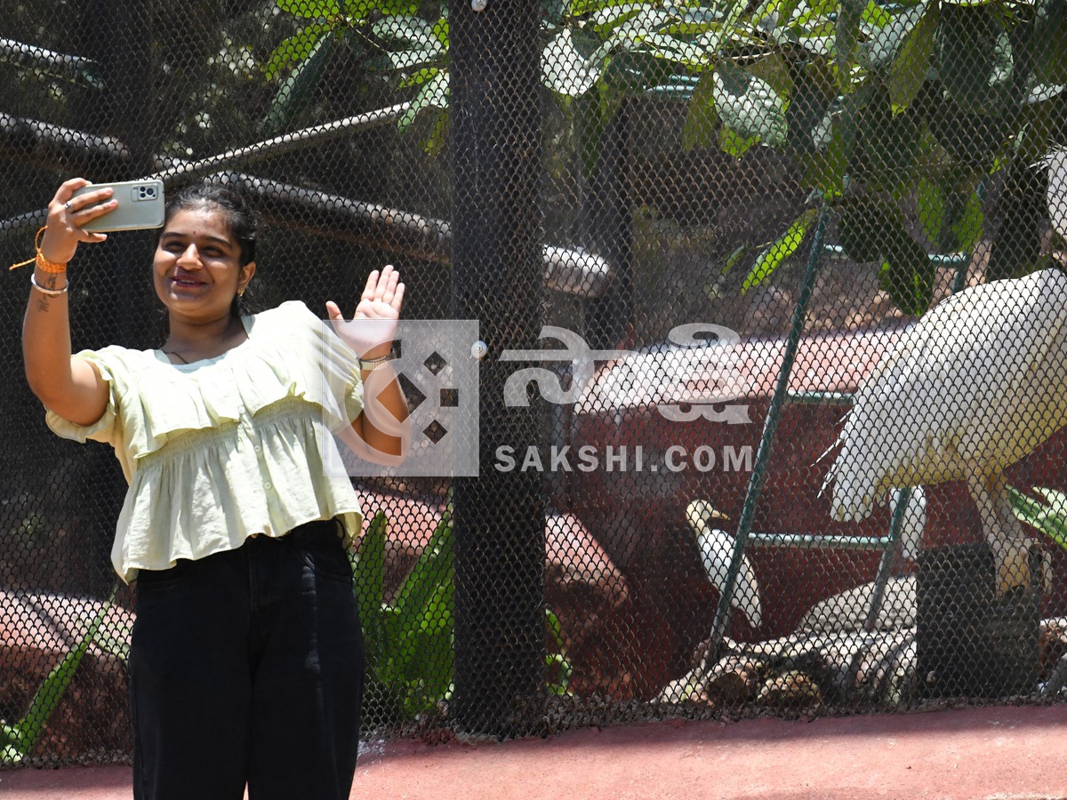 Touritsts Enjoying Summer Vacations At Zoo Photos20
