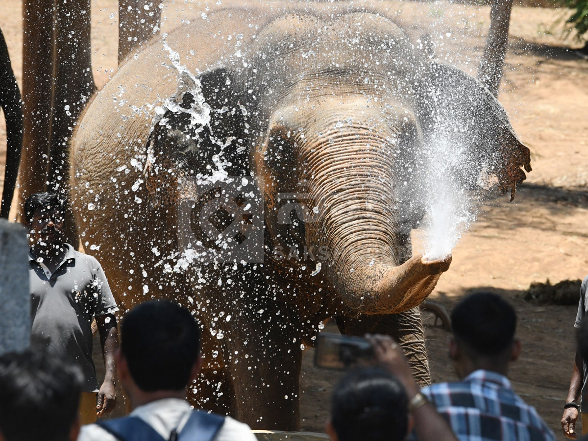 Touritsts Enjoying Summer Vacations At Zoo Photos7