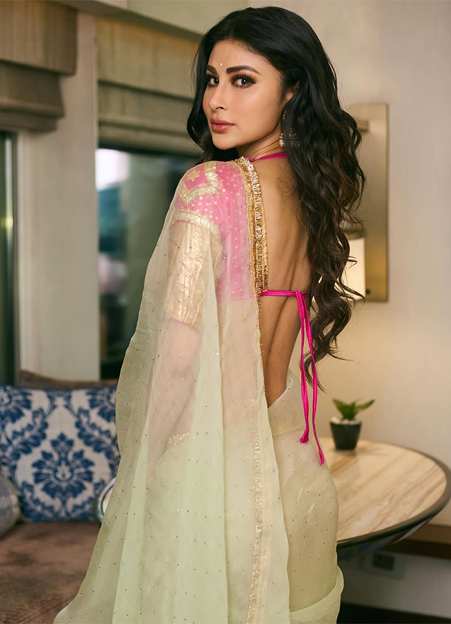 Mouni Roy and Suraj Nambiar divorce rumours Trending Now 14