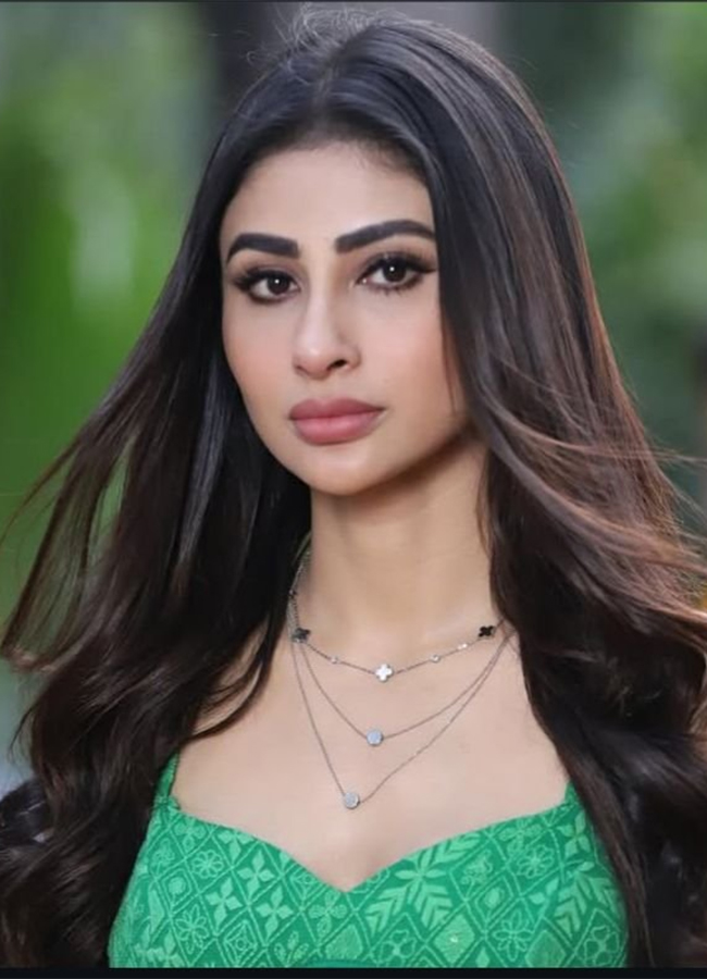 Mouni Roy and Suraj Nambiar divorce rumours Trending Now 7