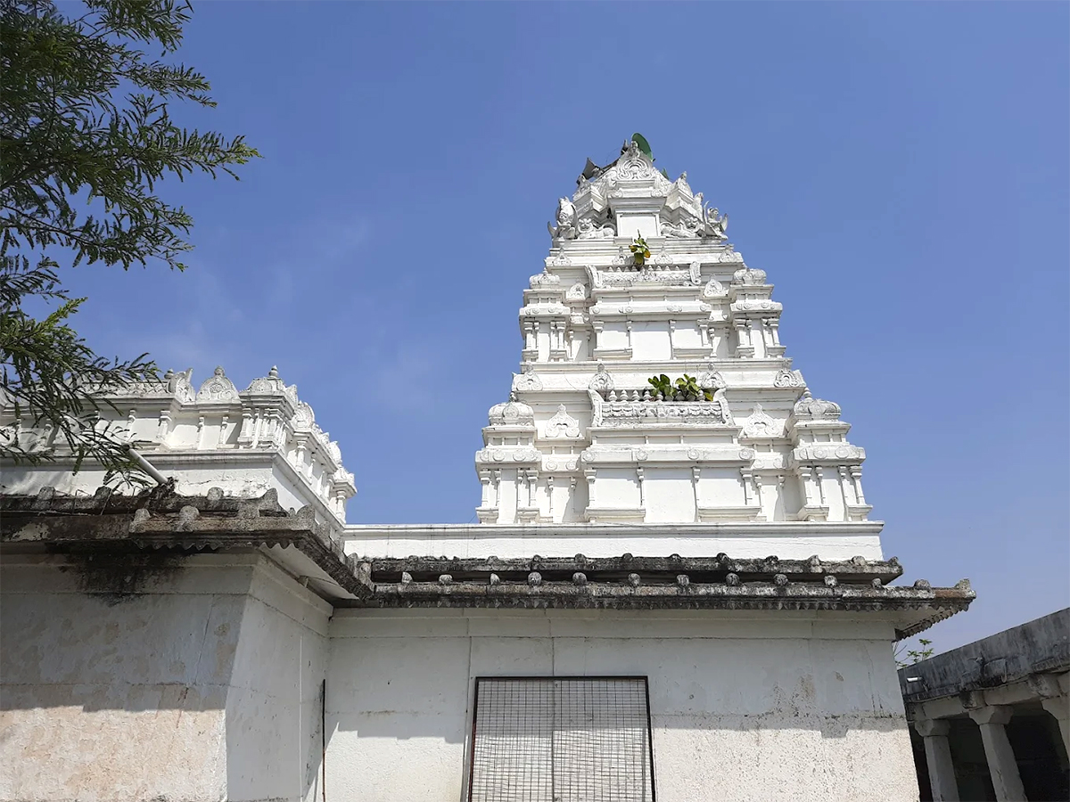 Sri Adivaraha Lakshmi Narasimha VenuGopala Swamy Temple HD Photos2
