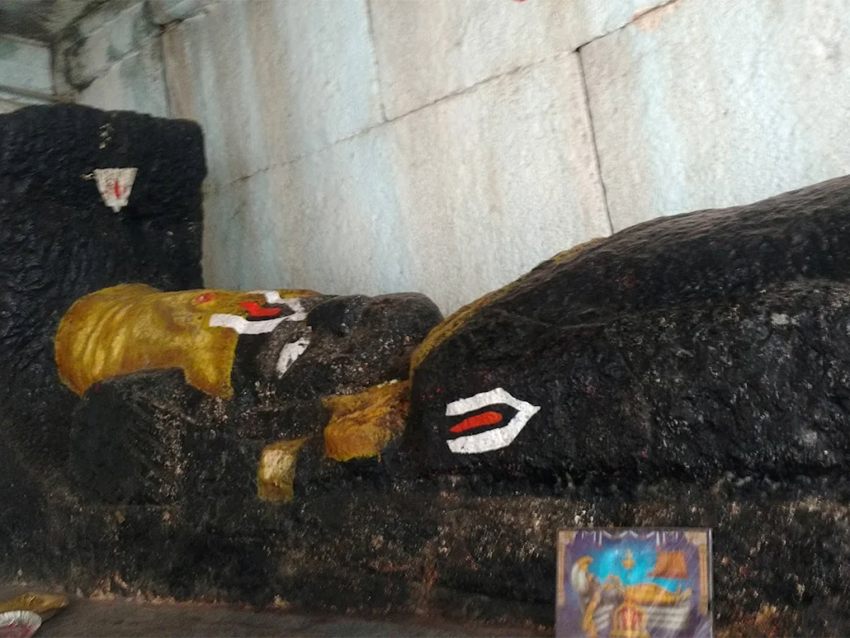 Sri Adivaraha Lakshmi Narasimha VenuGopala Swamy Temple HD Photos25